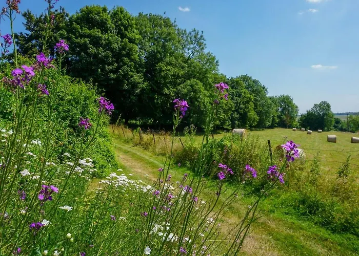 Charmant Appartement A La Ferme, 2 Chambres, Wi-Fi, Proche Auxi-Le-Chateau - Fr-1-376-28 Wavans photo