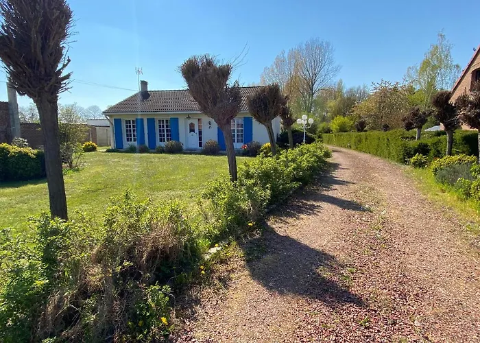 L'Arche De Zoe foto