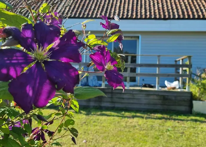 Gite Cote Et Terre Questrecques foto