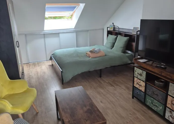 Studio Cozy 20M2 Les Attaques Foto