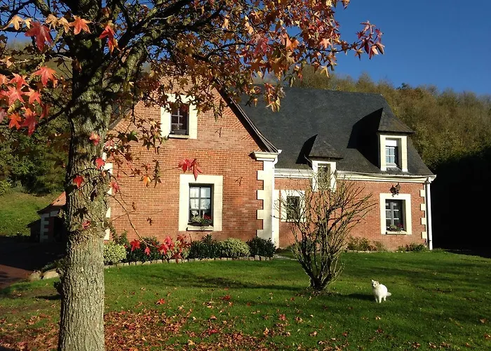 L'Auberge Des Oiseaux Chantants Willeman photo