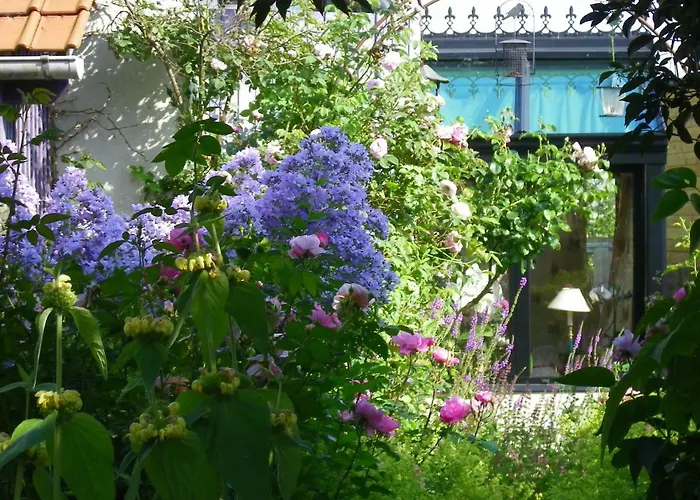La Colline Des Roses Bed & Breakfast Conchil-le-Temple photo