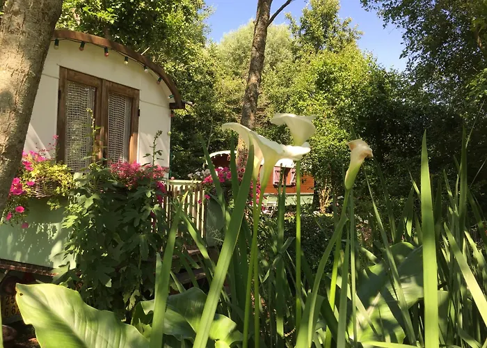 Roulottes Du Rouard Bed & Breakfast Camiers photo